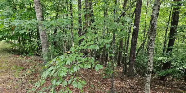 Image 2 Image 2
