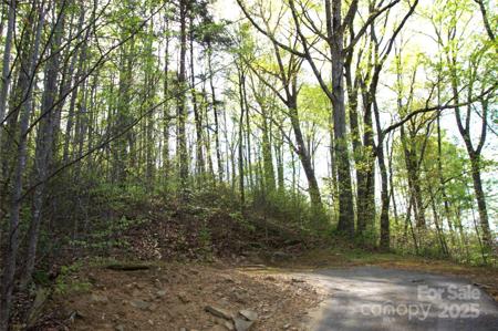 58 Ashewood Mountain Way