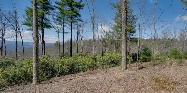 Image 4 Image 4