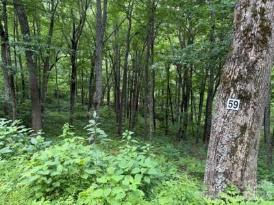Lot 59 Odalu Trail