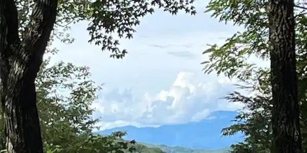 Image 4 Image 4