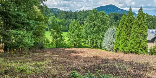 37 Bear Flower Trail
