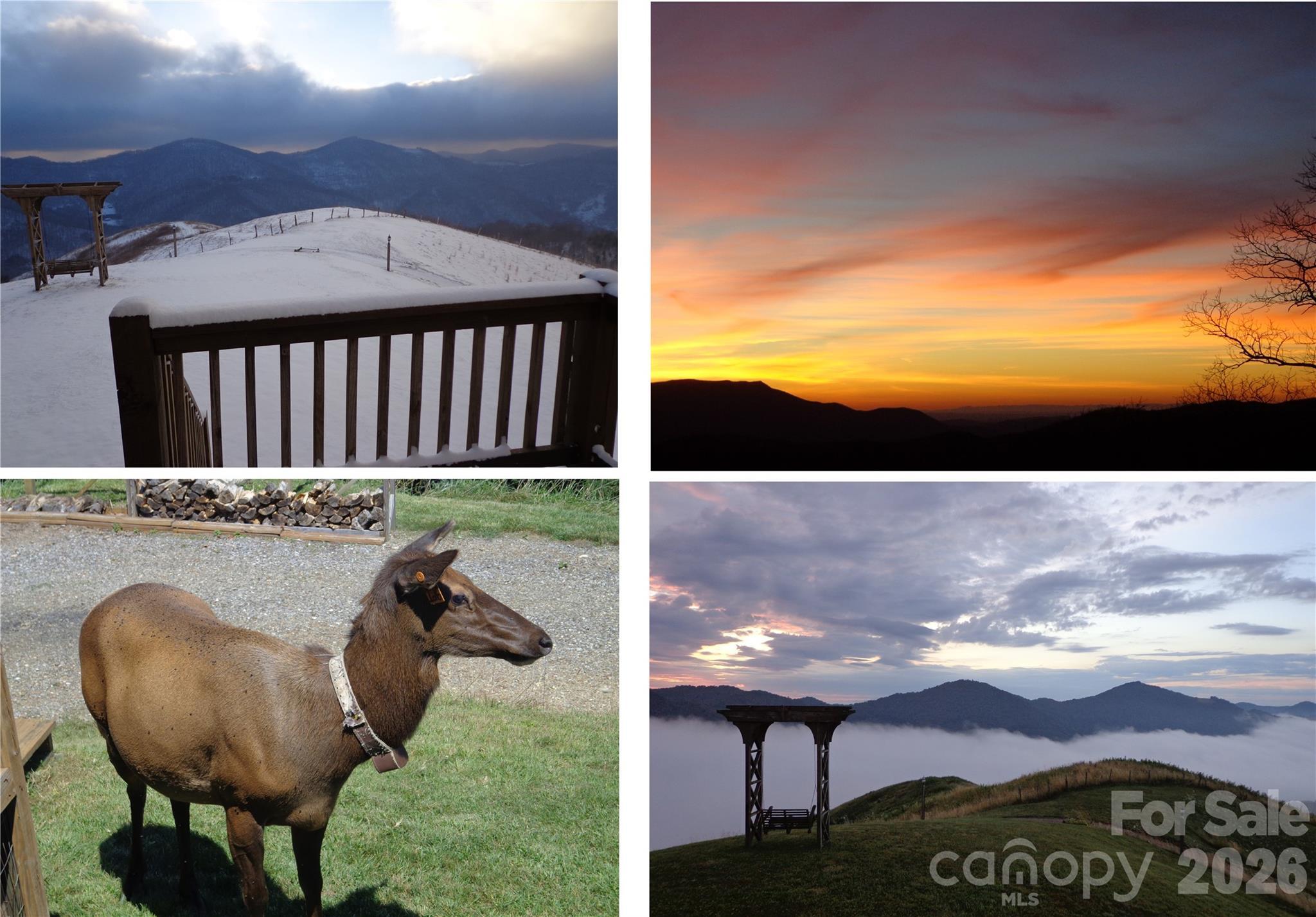 Image 4 Image 4