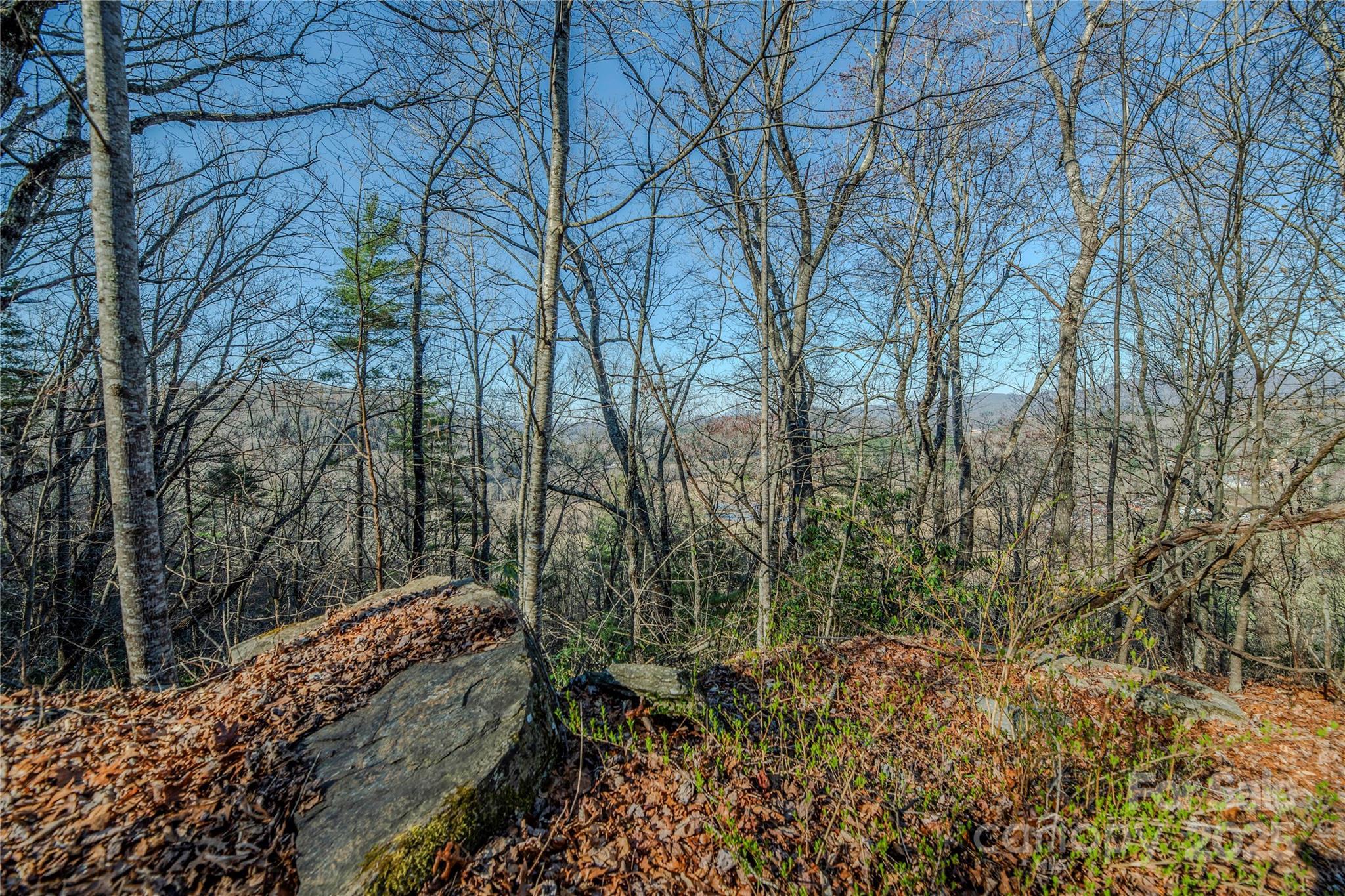 Image 4 Image 4