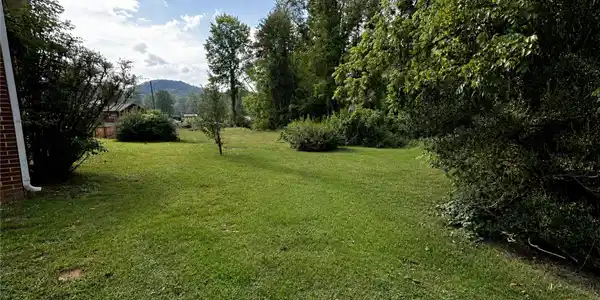 Image 3 Image 3