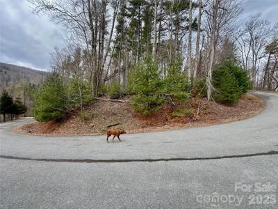 TBD mantera Ridge