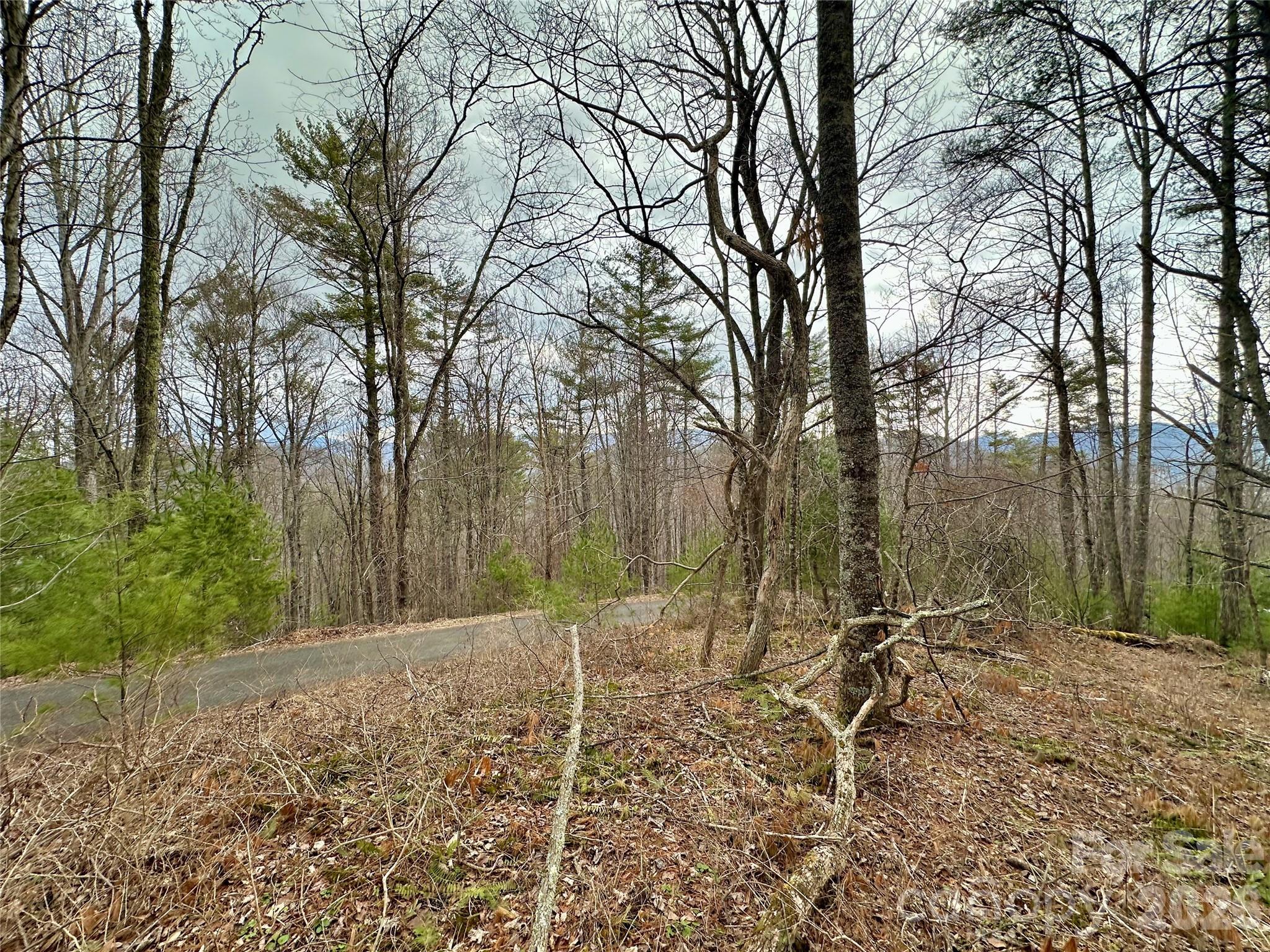 Image 4 Image 4