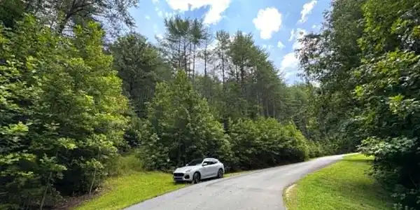 Image 3 Image 3