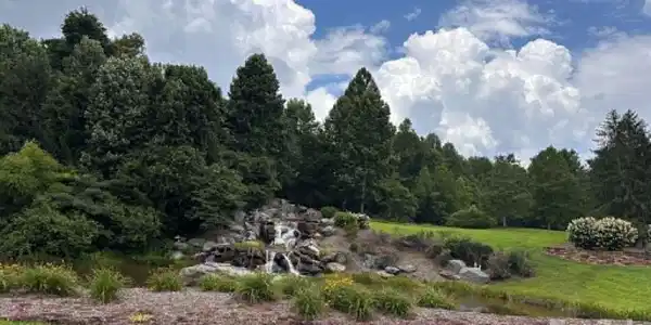 Image 4 Image 4