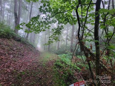 2100 Chambers Mountain Road