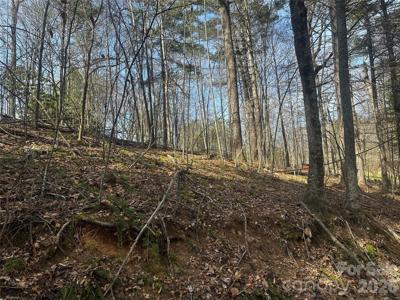 00 Saw Mill Hollow