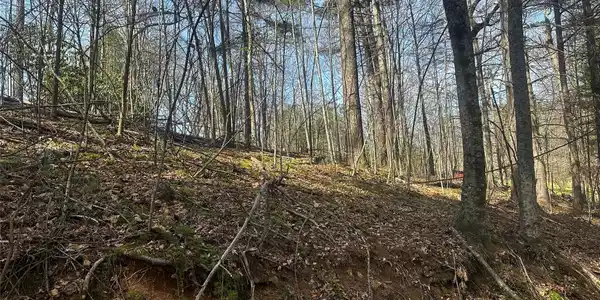 00 Saw Mill Hollow