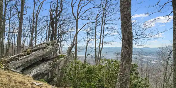 Lot 65 Featherstone Drive