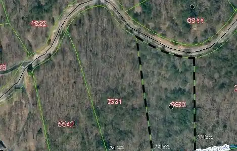 Image 4 Image 4