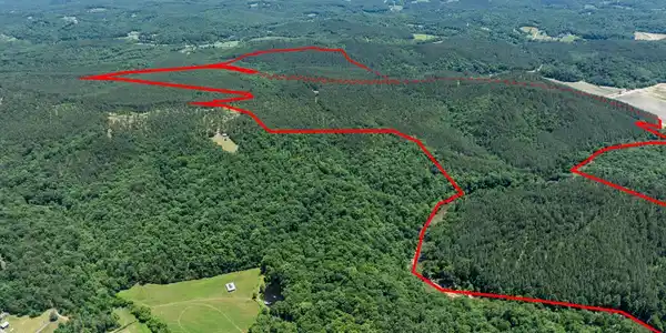 Image 4 Image 4