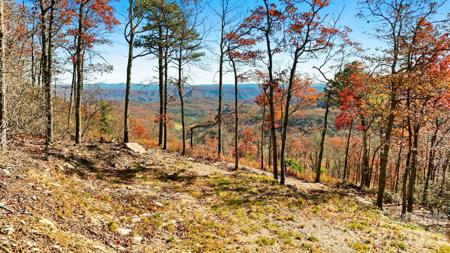 Lot 23 Bluebell Trail
