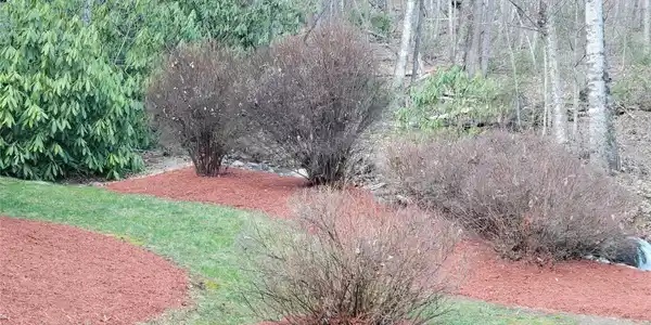 Image 3 Image 3