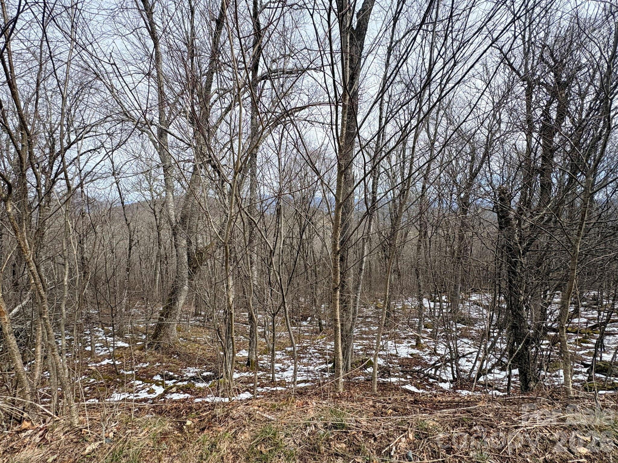Image 3 Image 3