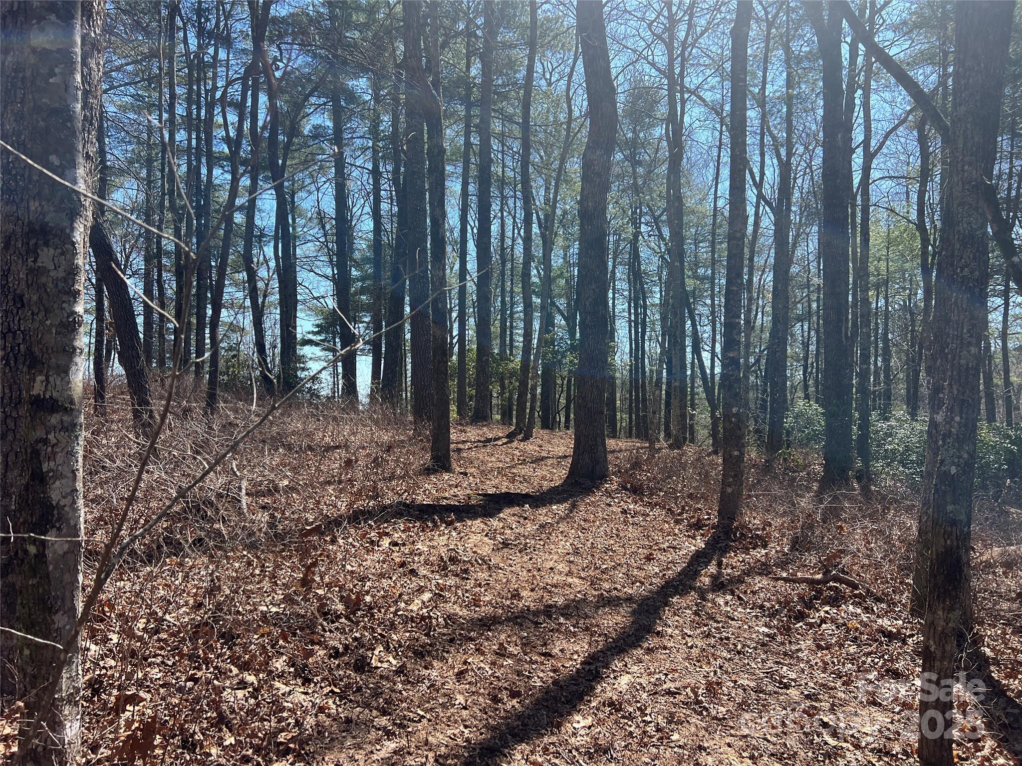 Image 4 Image 4