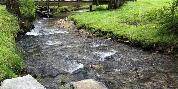 Image 4 Image 4