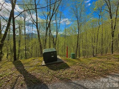 455 Mountain Watch Drive