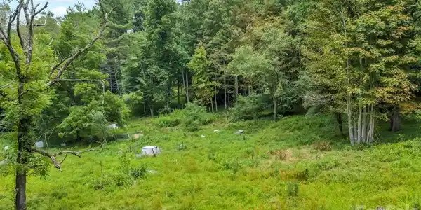 Image 2 Image 2