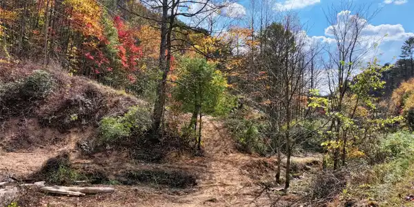 Image 4 Image 4