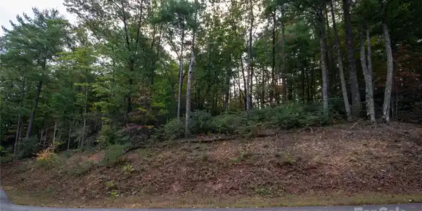 Lot# 594 Timberline Drive