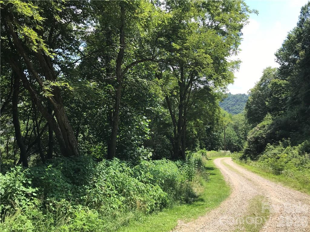 Image 1 Image 1