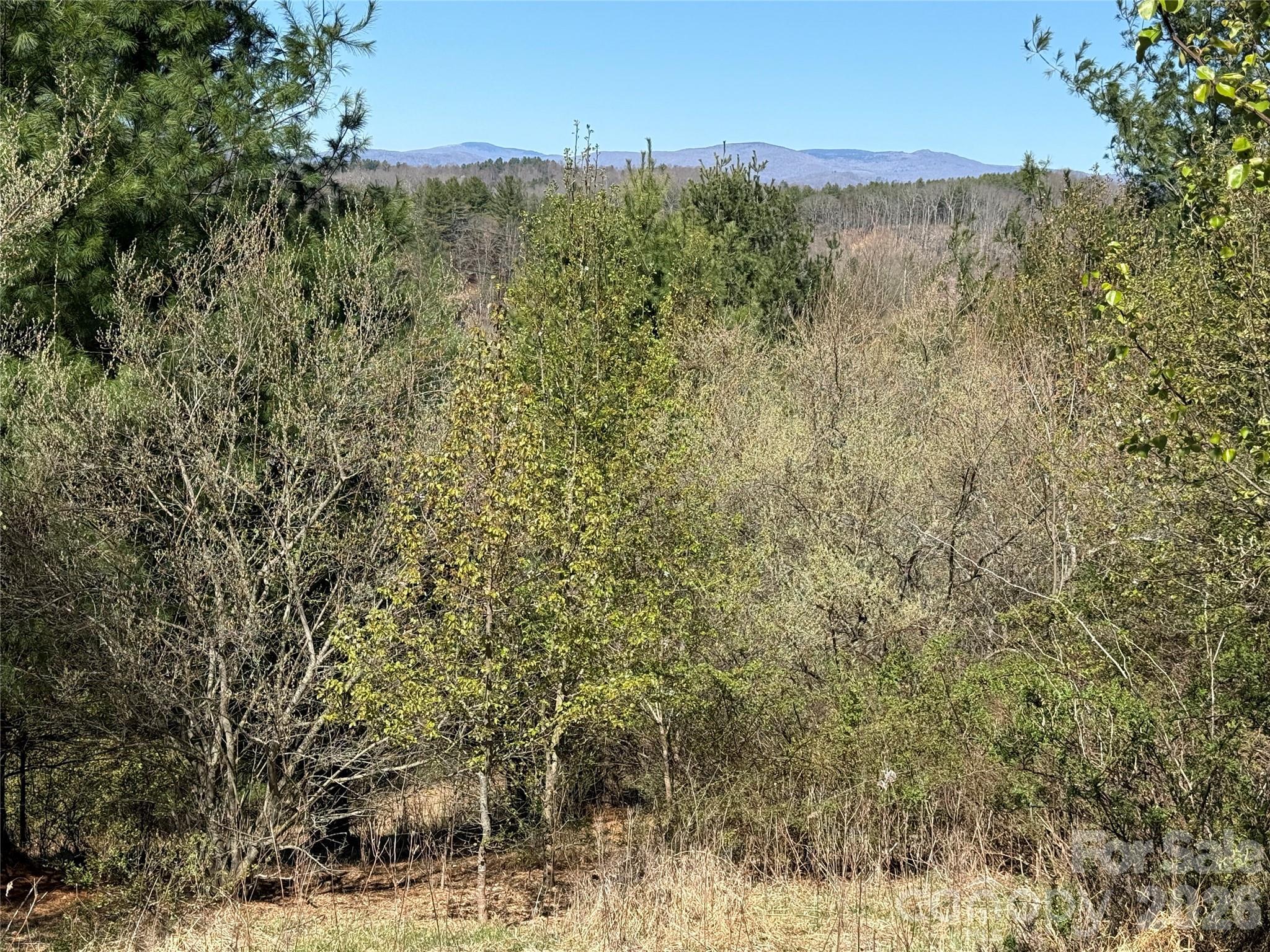 Image 2 Image 2