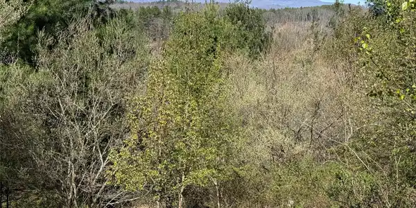 Image 2 Image 2