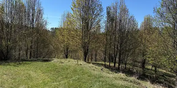 Image 4 Image 4