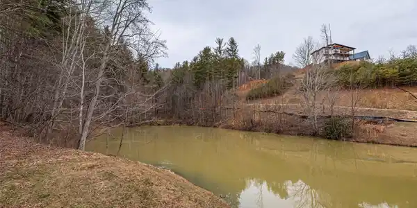 Image 4 Image 4