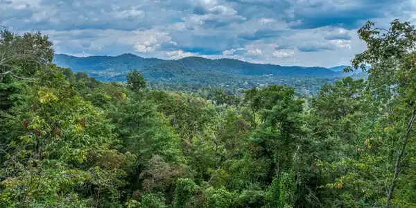 Image 3 Image 3