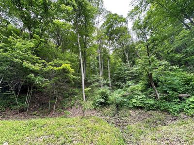 0 Laurel Ridge Road