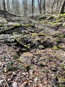 106 Avalon Gap Trail