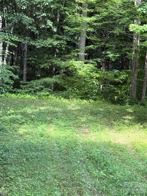 Image 3 Image 3