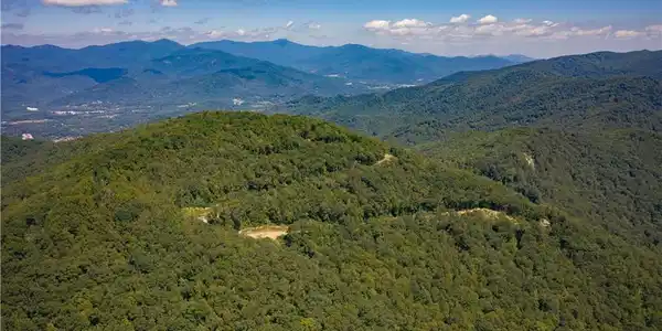Image 3 Image 3