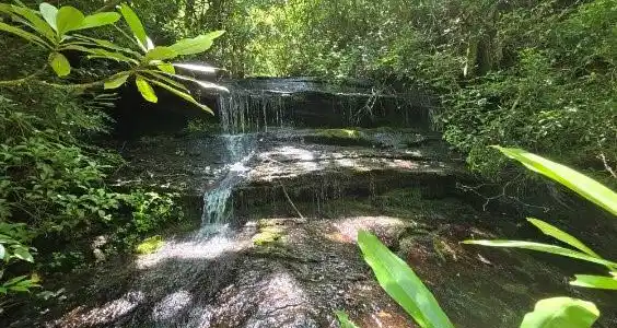 100/101 Ellicott Gap None