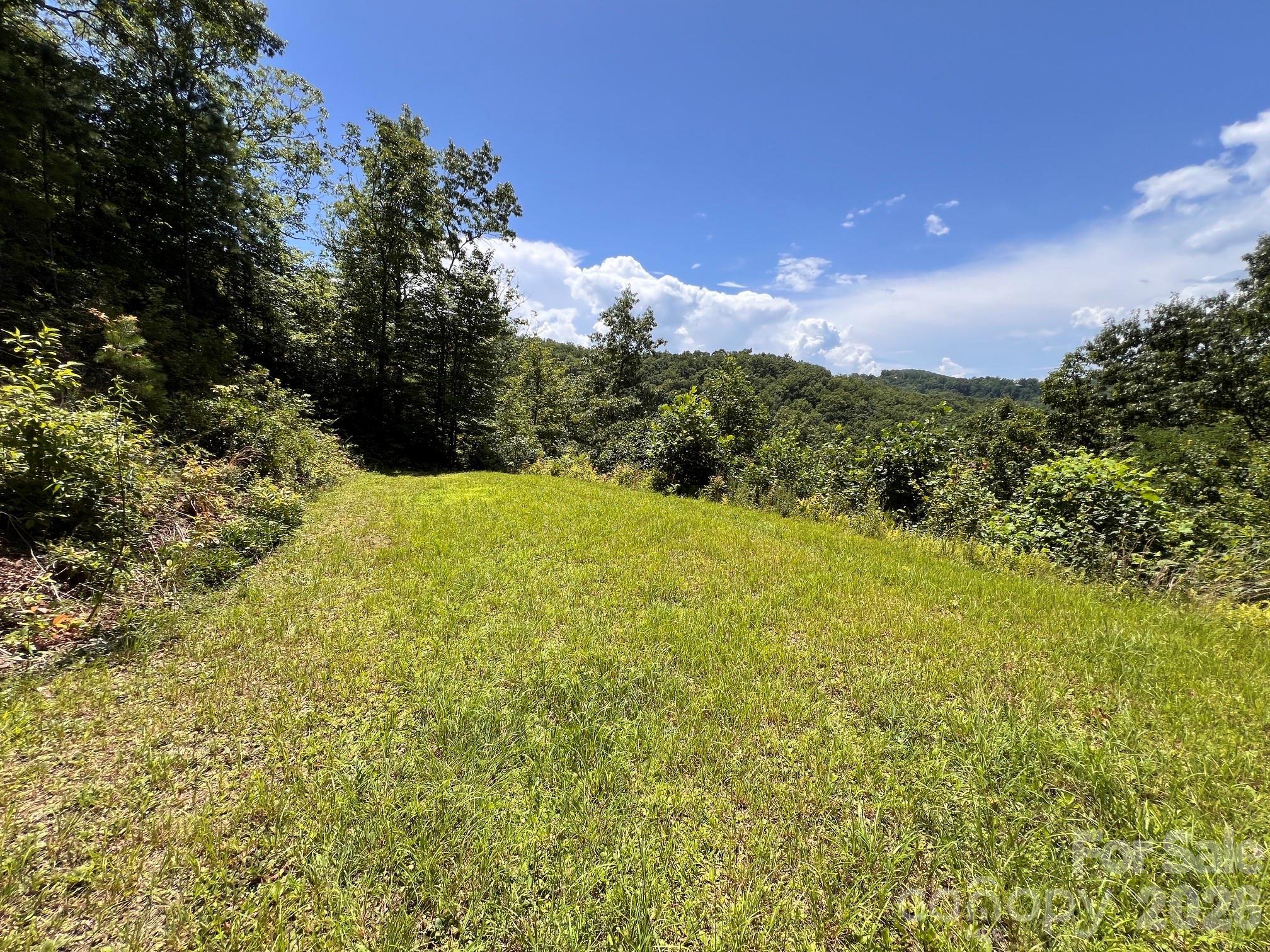 Image 4 Image 4