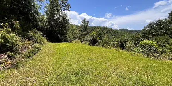 Image 4 Image 4