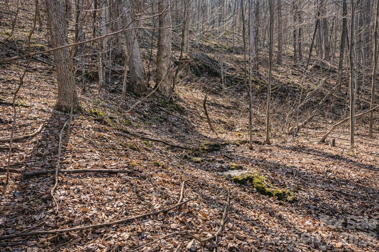 Image 3 Image 3