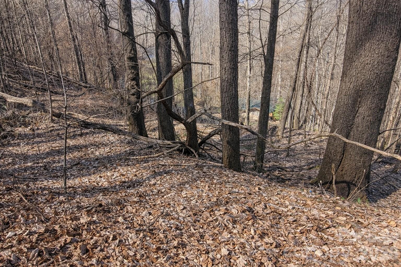 Image 4 Image 4