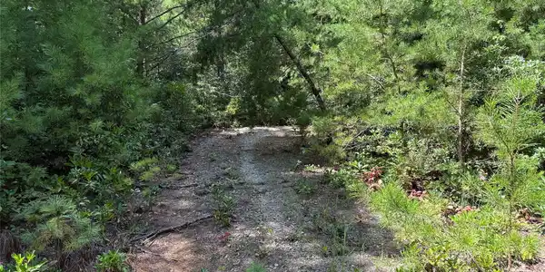 Image 3 Image 3