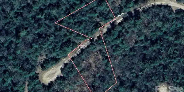 Image 4 Image 4
