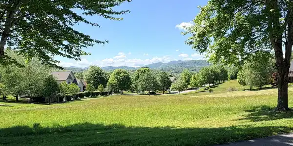 Image 4 Image 4