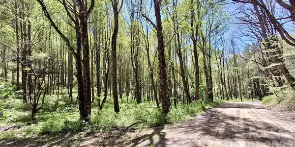 0000 Cold Mountain Road
