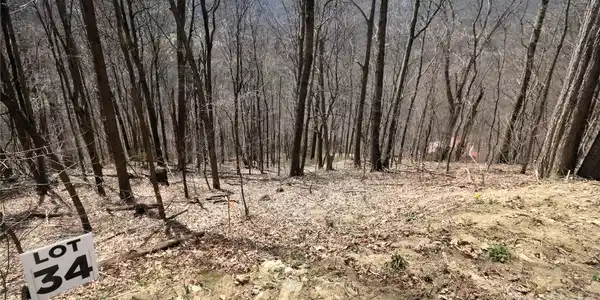 Image 3 Image 3
