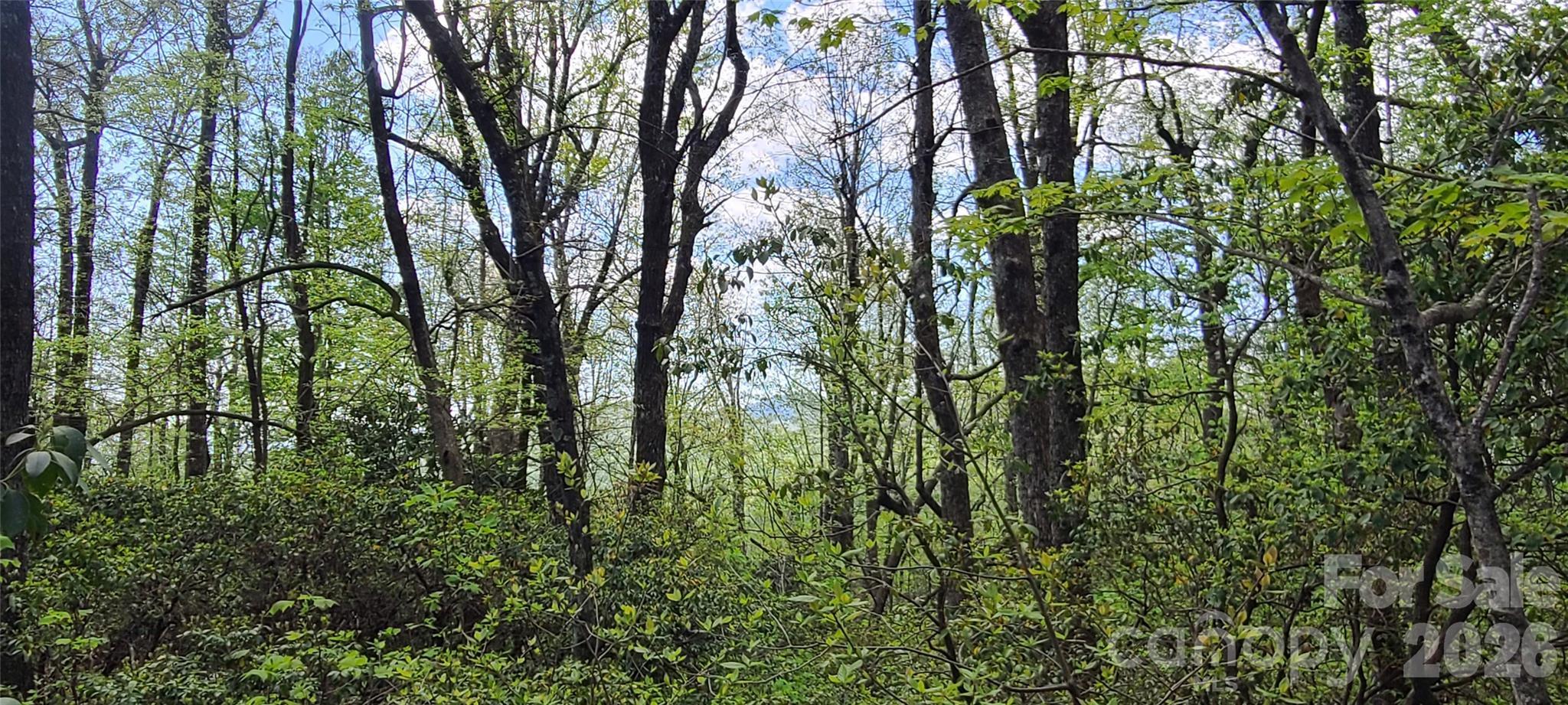 Image 3 Image 3