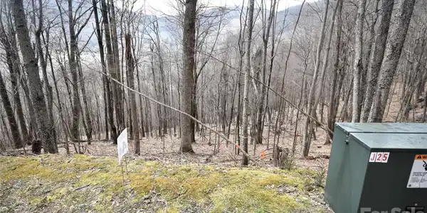 Image 4 Image 4